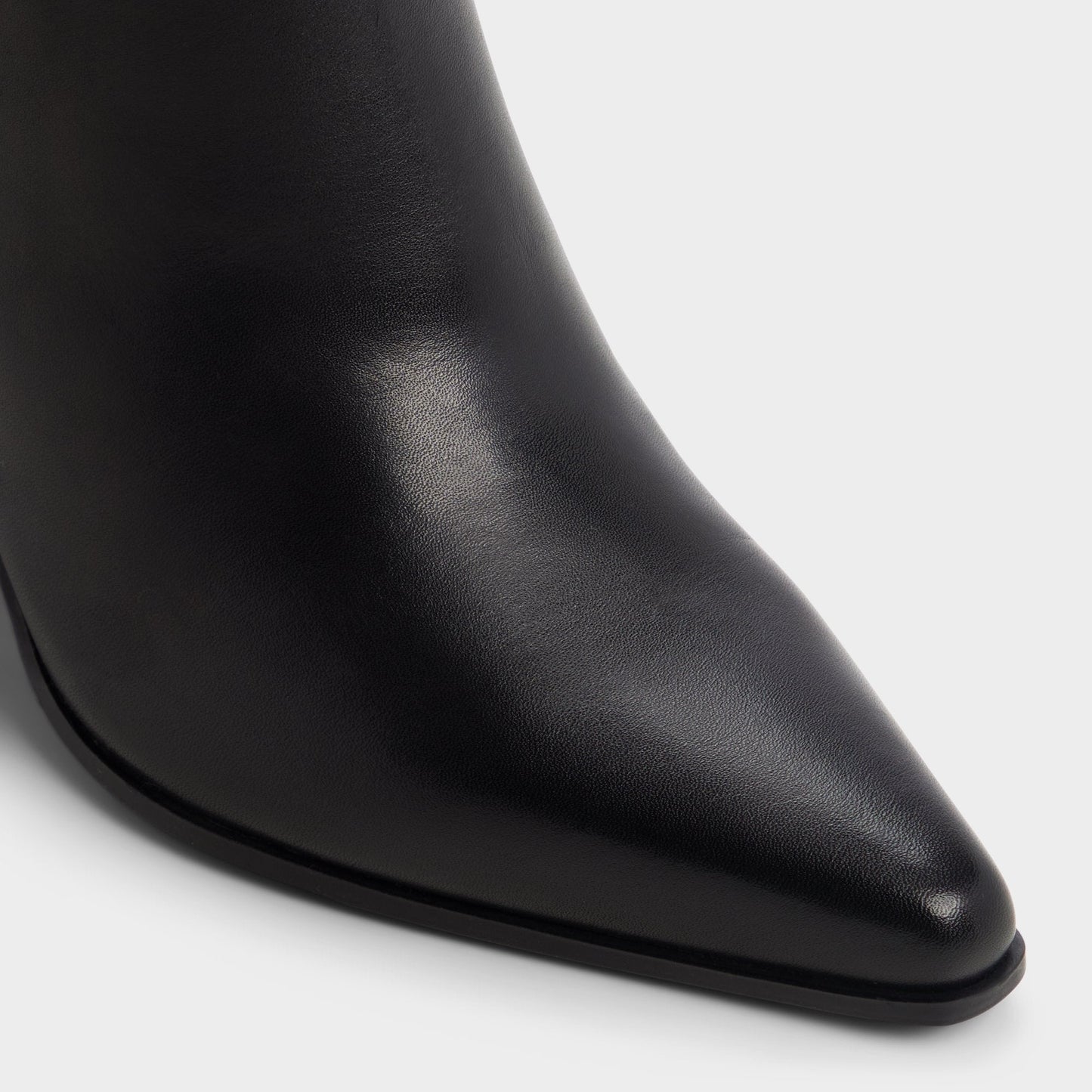 Kaelya in Black - Knee-high boot, Block heel | Aldo Recommended