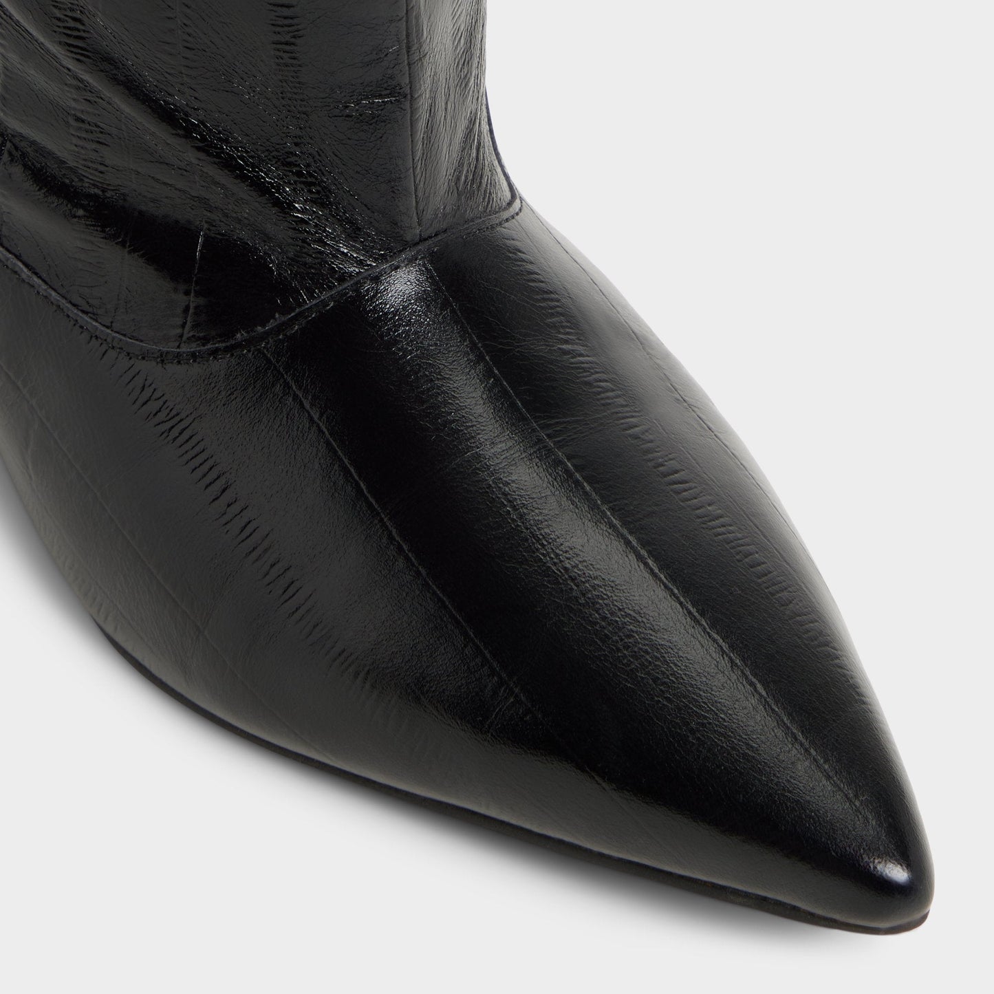 Everose in Black - Knee-high boot, Kitten heel | Aldo Signature