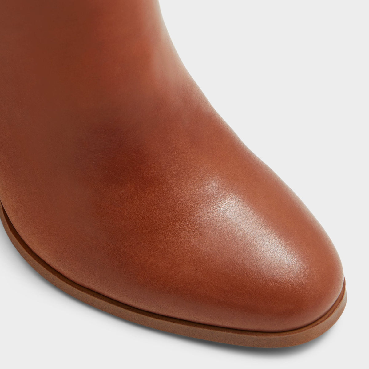 Belide Cognac Women's Tall Boots - Knee-high boot, Brown | Aldo Trending