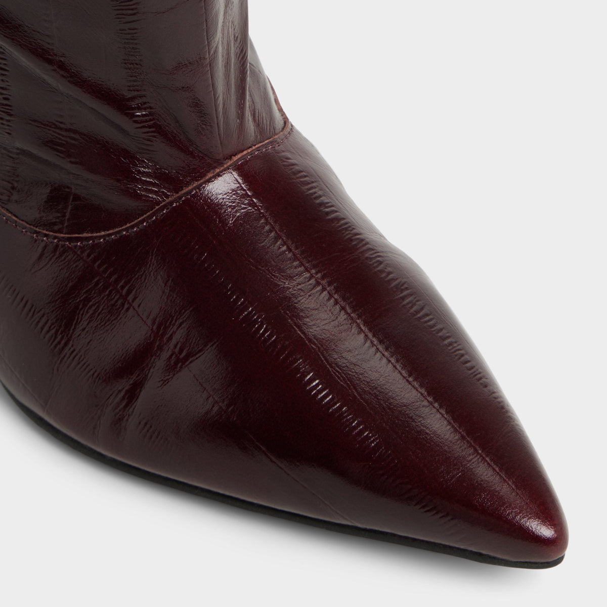 Everose in Bordo - Knee-high boot, Kitten heel | Aldo New