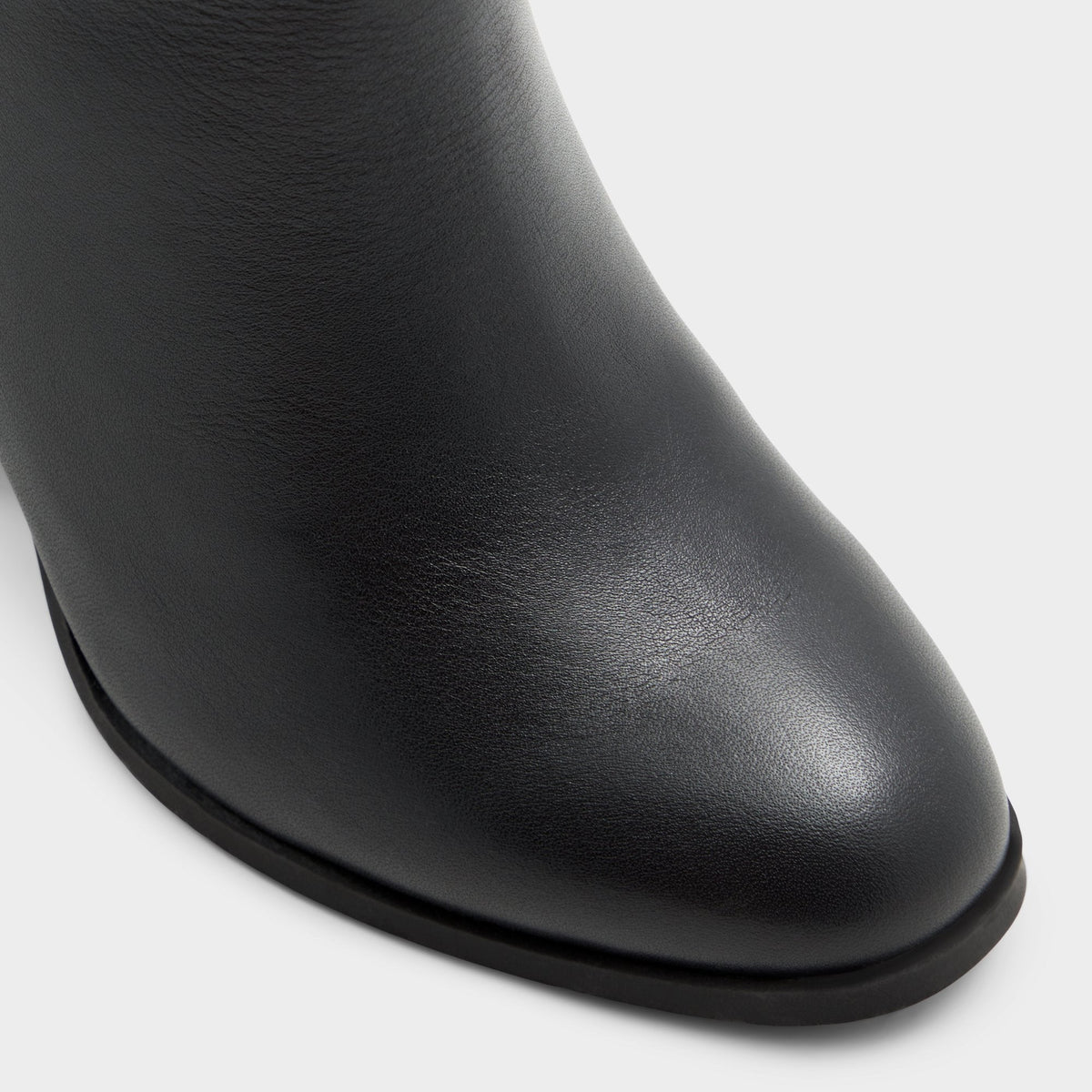 Belide-wc Black Women's Tall Boots - Knee-high boot, Black | Aldo Trending