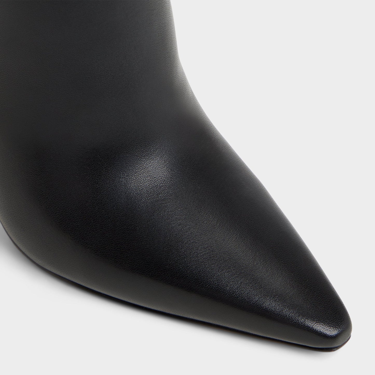 Guavaberry in Black - Ankle boot, Stiletto heel | Aldo Premium