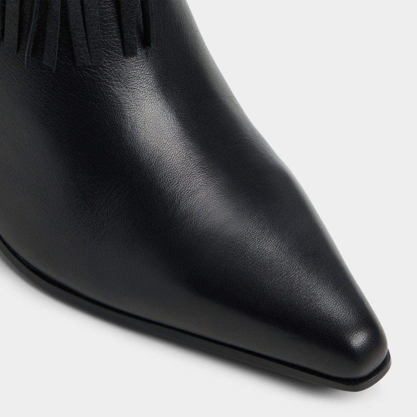 Jollene Black Women's Ankle boots - Ankle boot, Block heel | Aldo Best Seller