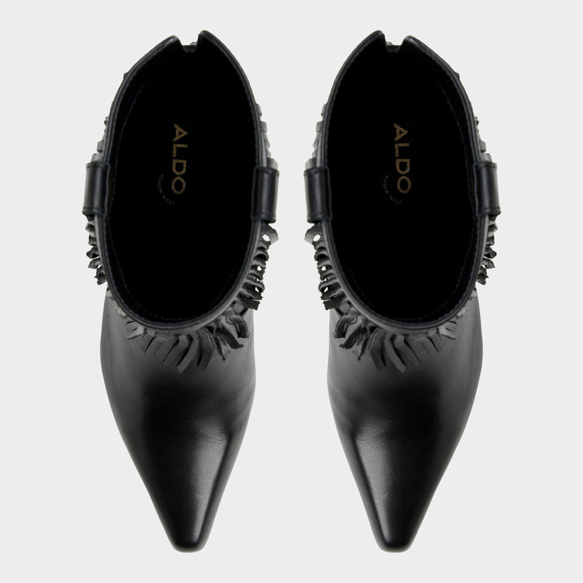 Jollene Black Women's Ankle boots - Ankle boot, Block heel | Aldo Best Seller