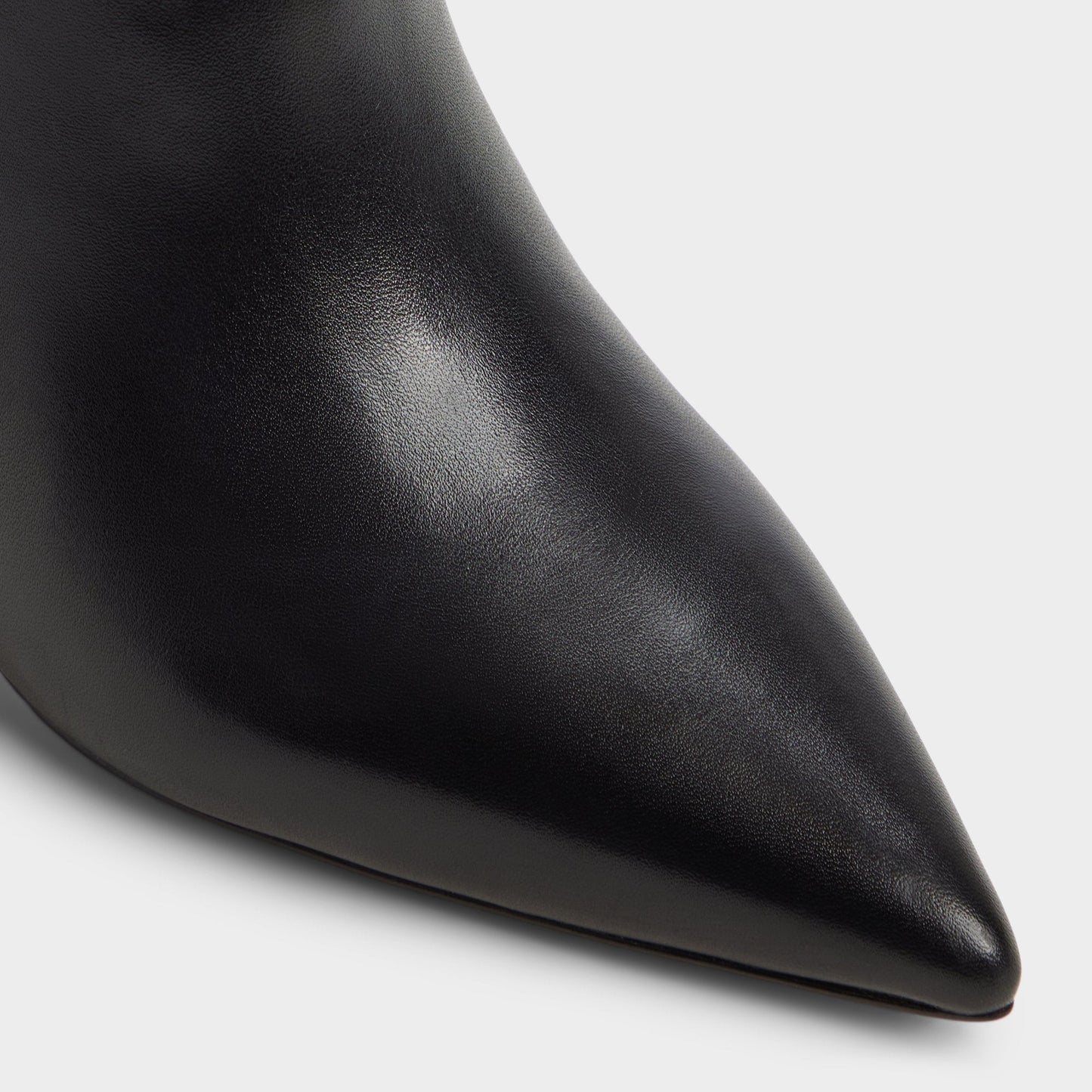 Saphiria in Black - Knee-high boot, Stiletto heel | Aldo Signature