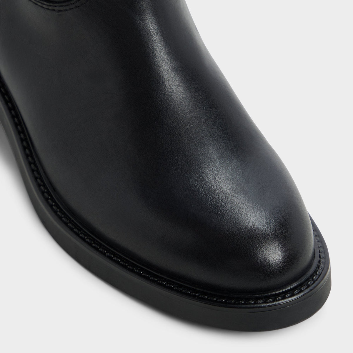 Philippa in Black - Riding boot, Block heel | Aldo Featured