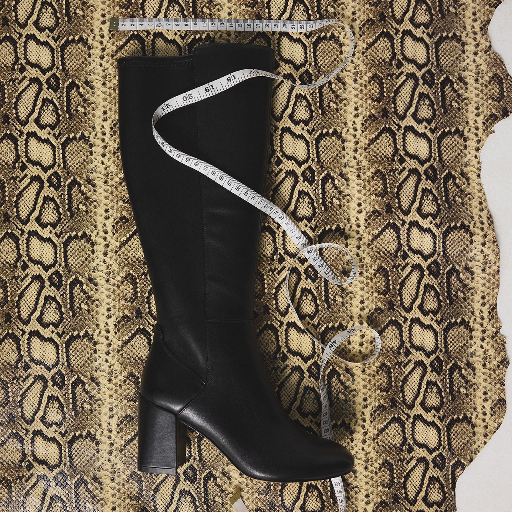 Satori-wc Black/Black Women's Tall Boots - Knee-high boot, Block heel | Aldo Classic