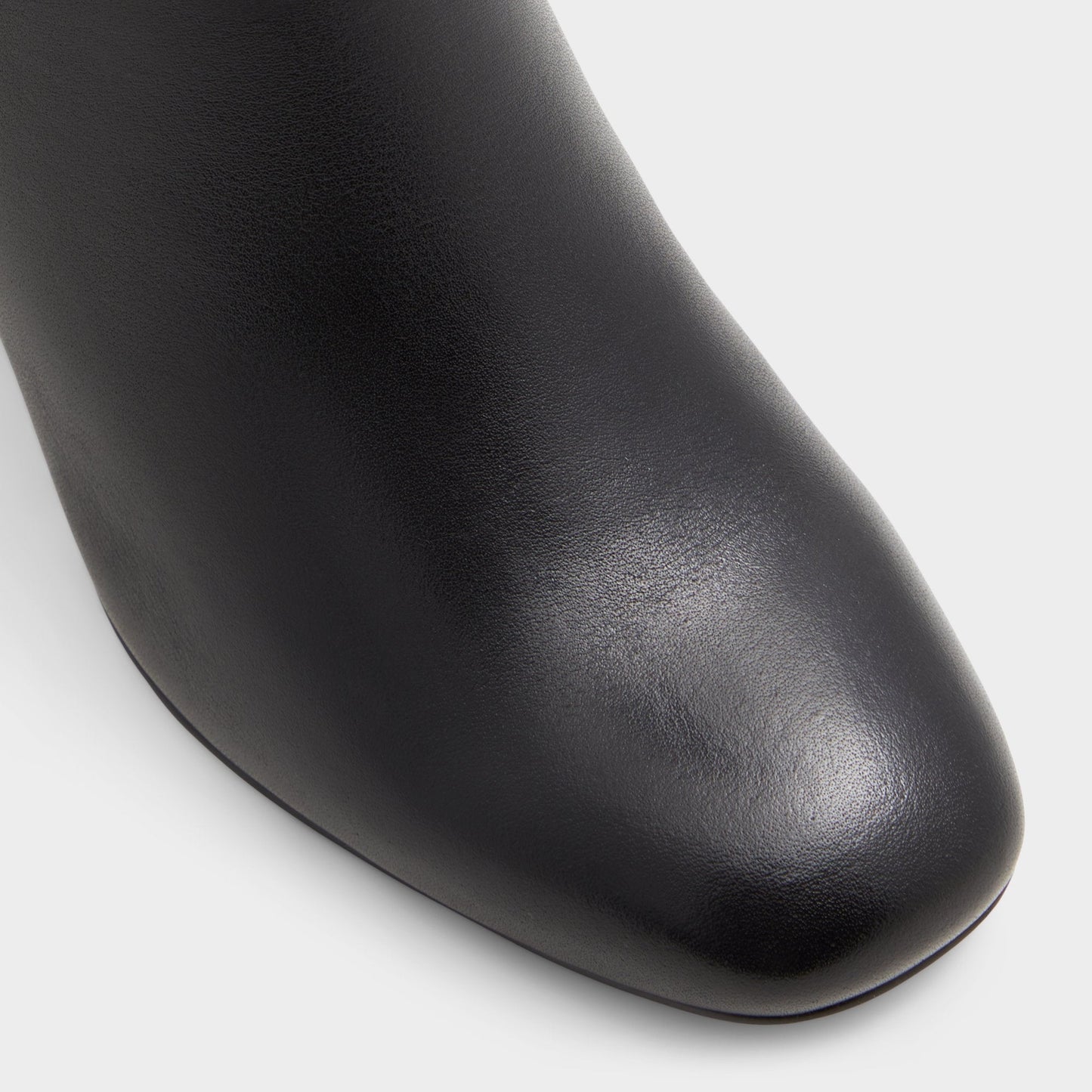 Satori-wc Black/Black Women's Tall Boots - Knee-high boot, Block heel | Aldo Classic