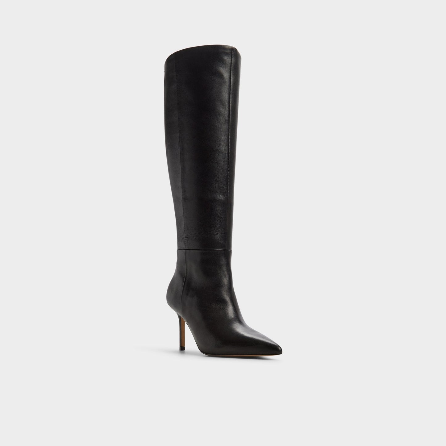 Saphiria in Wc Black - Knee-high boot, Stiletto heel | Aldo Featured