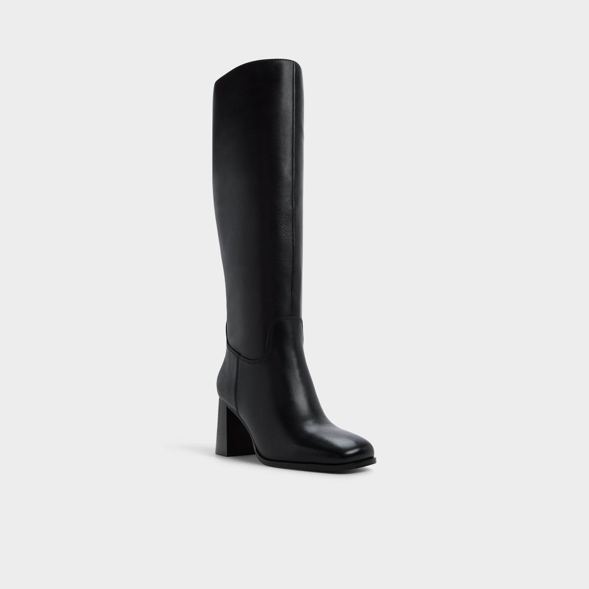 Elyze in Black - Knee-high boot, Block heel | Aldo New