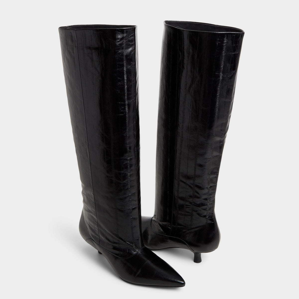 Everose in Black - Knee-high boot, Kitten heel | Aldo Signature