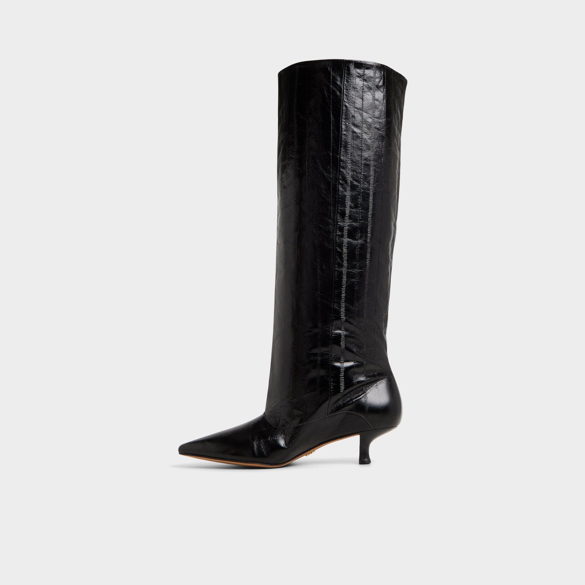 Everose in Black - Knee-high boot, Kitten heel | Aldo Signature