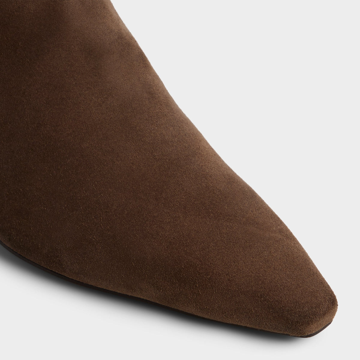 Muttsee Other Brown Women's Tall Boots - Knee-high boot, Brown | Aldo Recommended