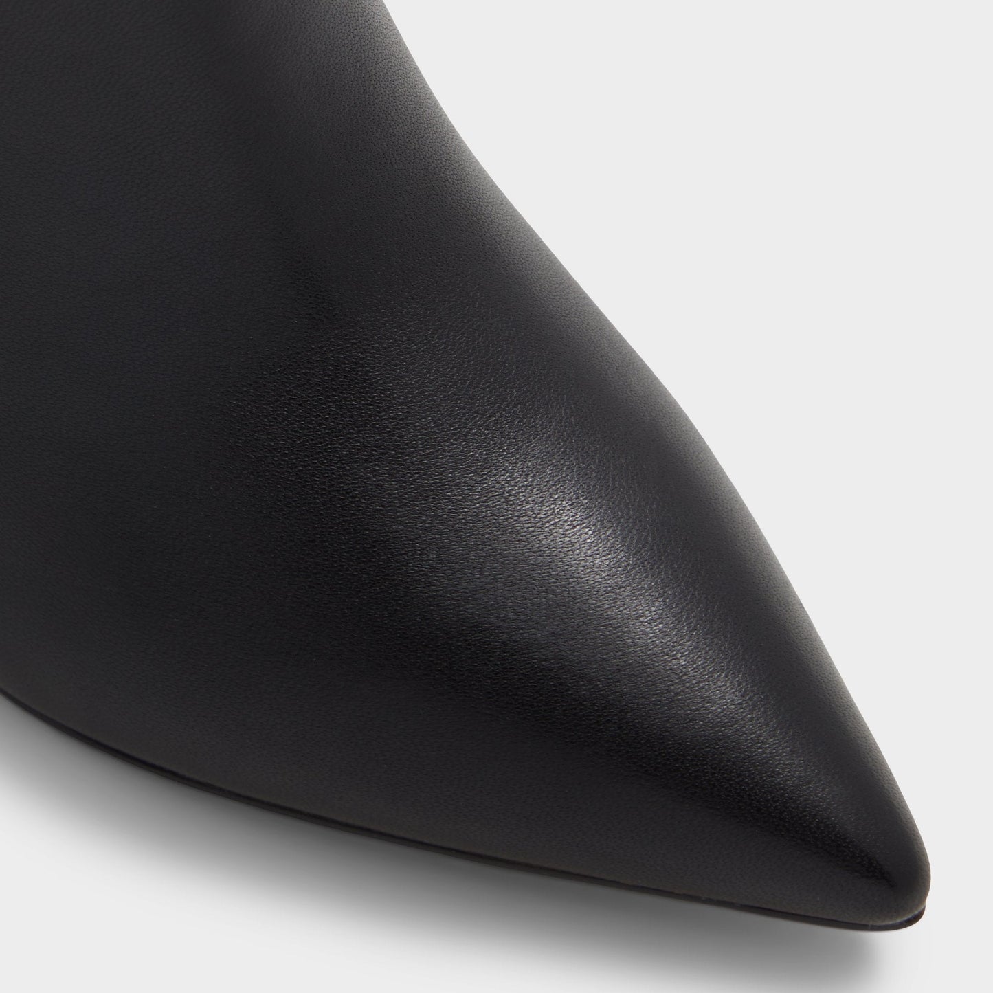 Laroche Black Women's Tall Boots - Knee-high boot, Black | Aldo Signature