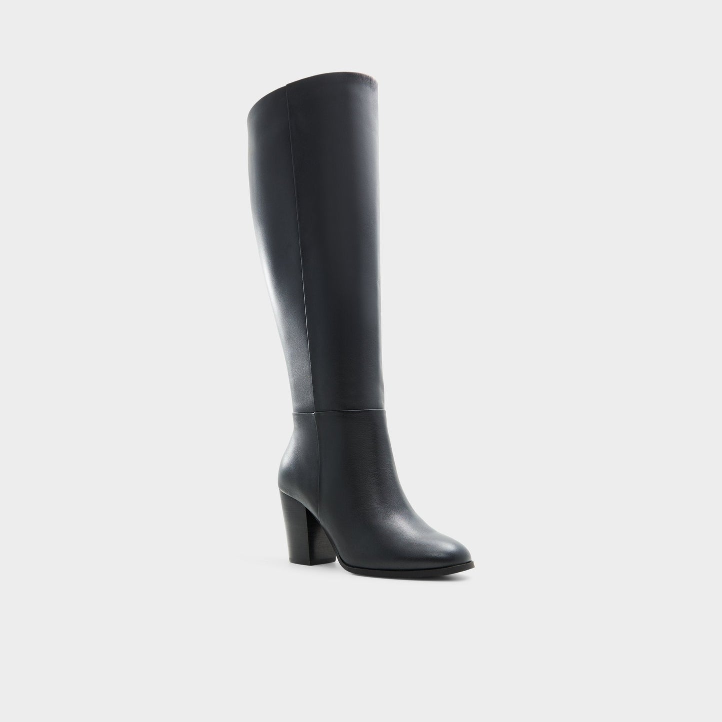 Belide-wc Black Women's Tall Boots - Knee-high boot, Black | Aldo Trending