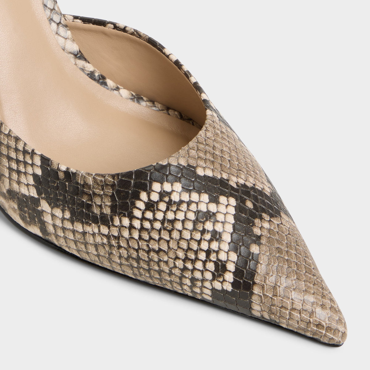 Beatrixy Python Women's Heeled mules - Heeled mule, Stiletto heel | Aldo Trending