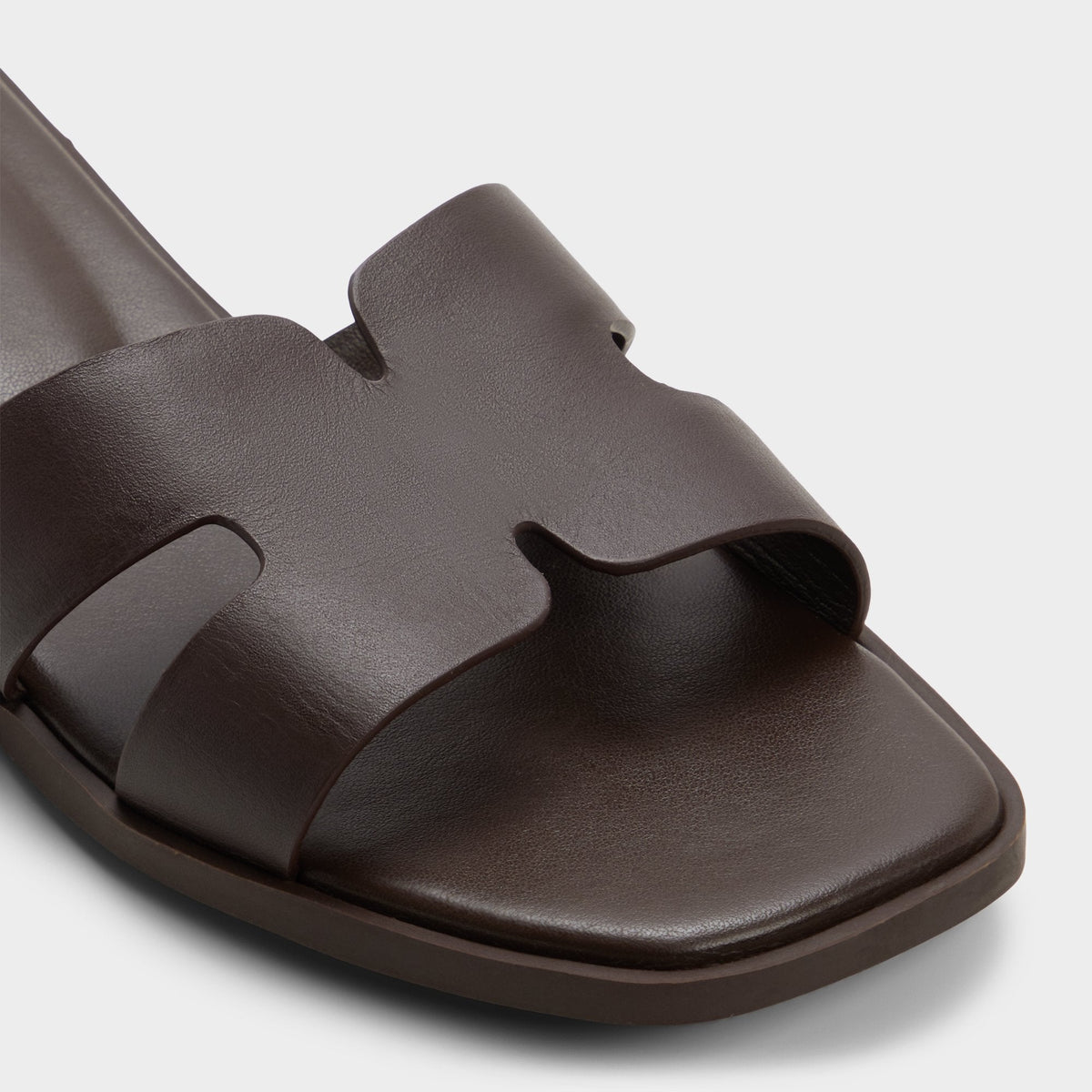 Itsandalb in Dark Brown -  | Aldo New