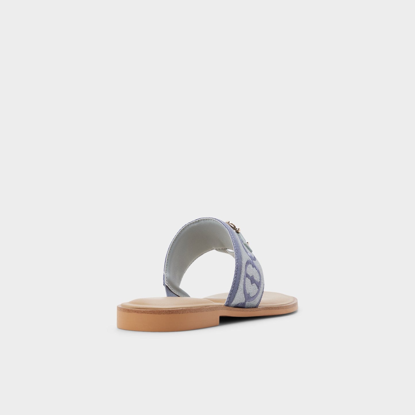 Coralynna in Other Blue - T-strap sandal | Aldo Best Seller