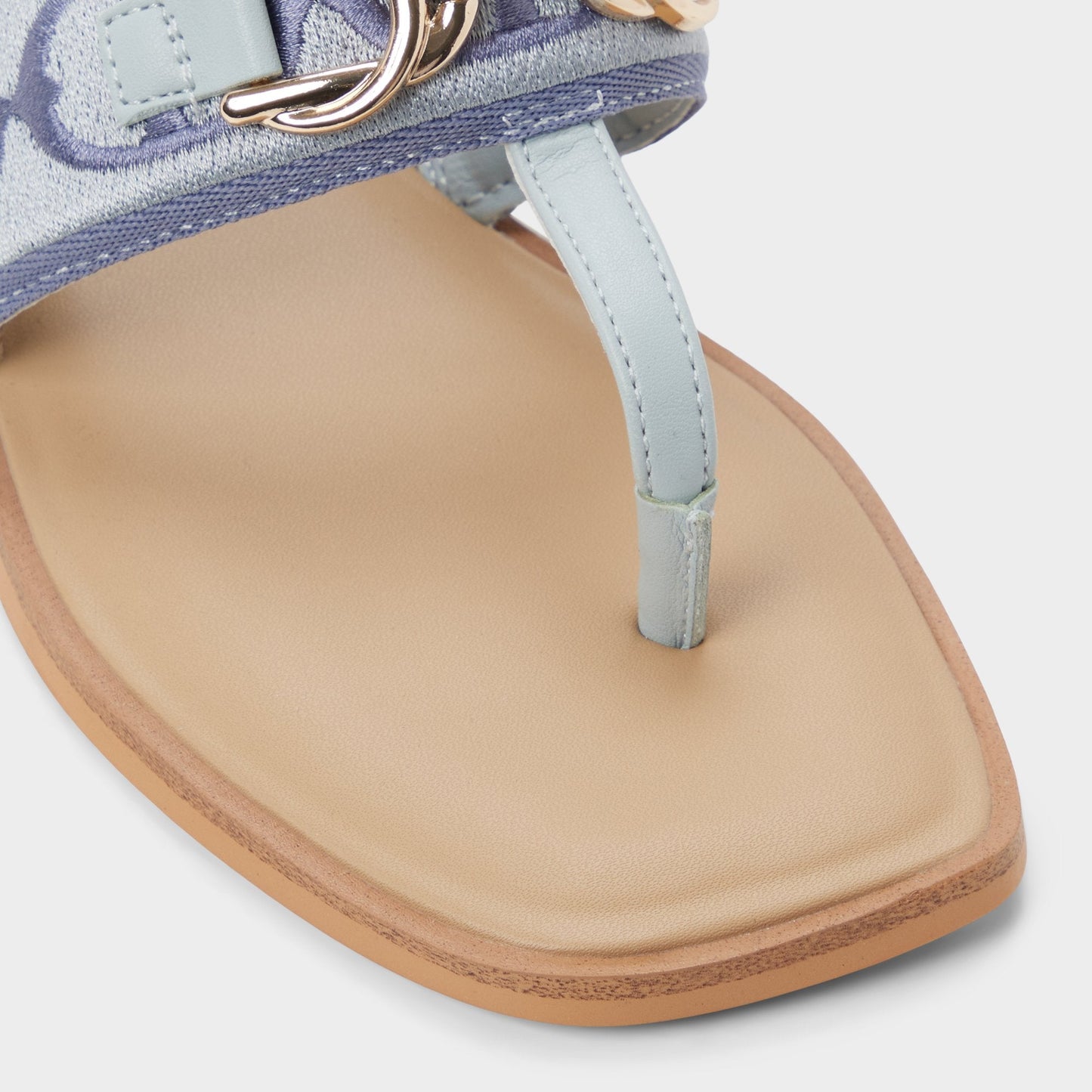 Coralynna in Other Blue - T-strap sandal | Aldo Best Seller
