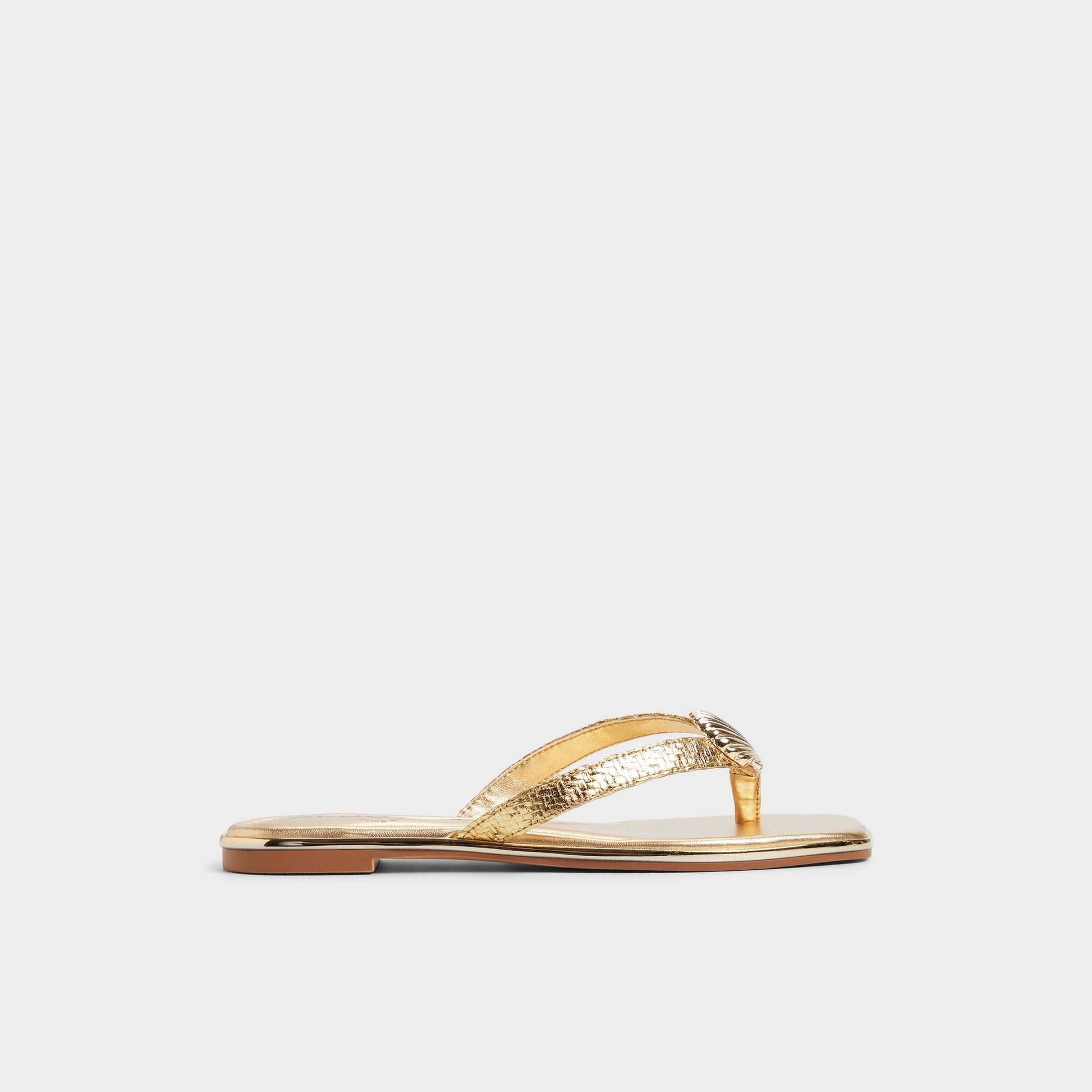 Conchiglia Gold Women's Flats - Flip flop | Aldo Signature