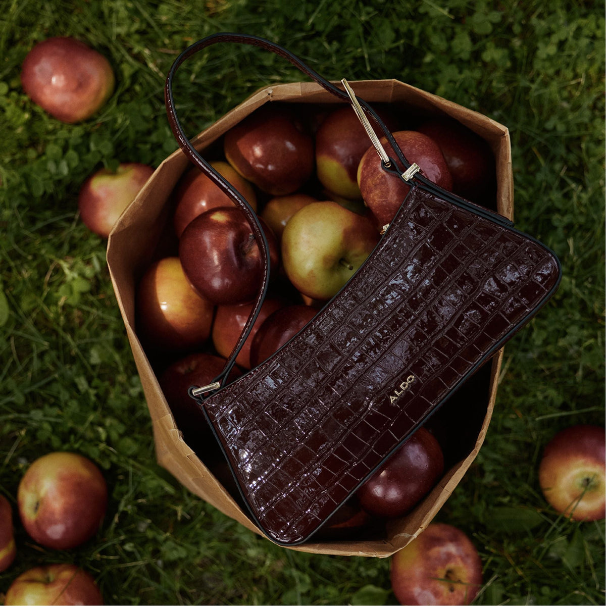 Jabellee in Dark Red - Shoulder bag | Aldo Signature