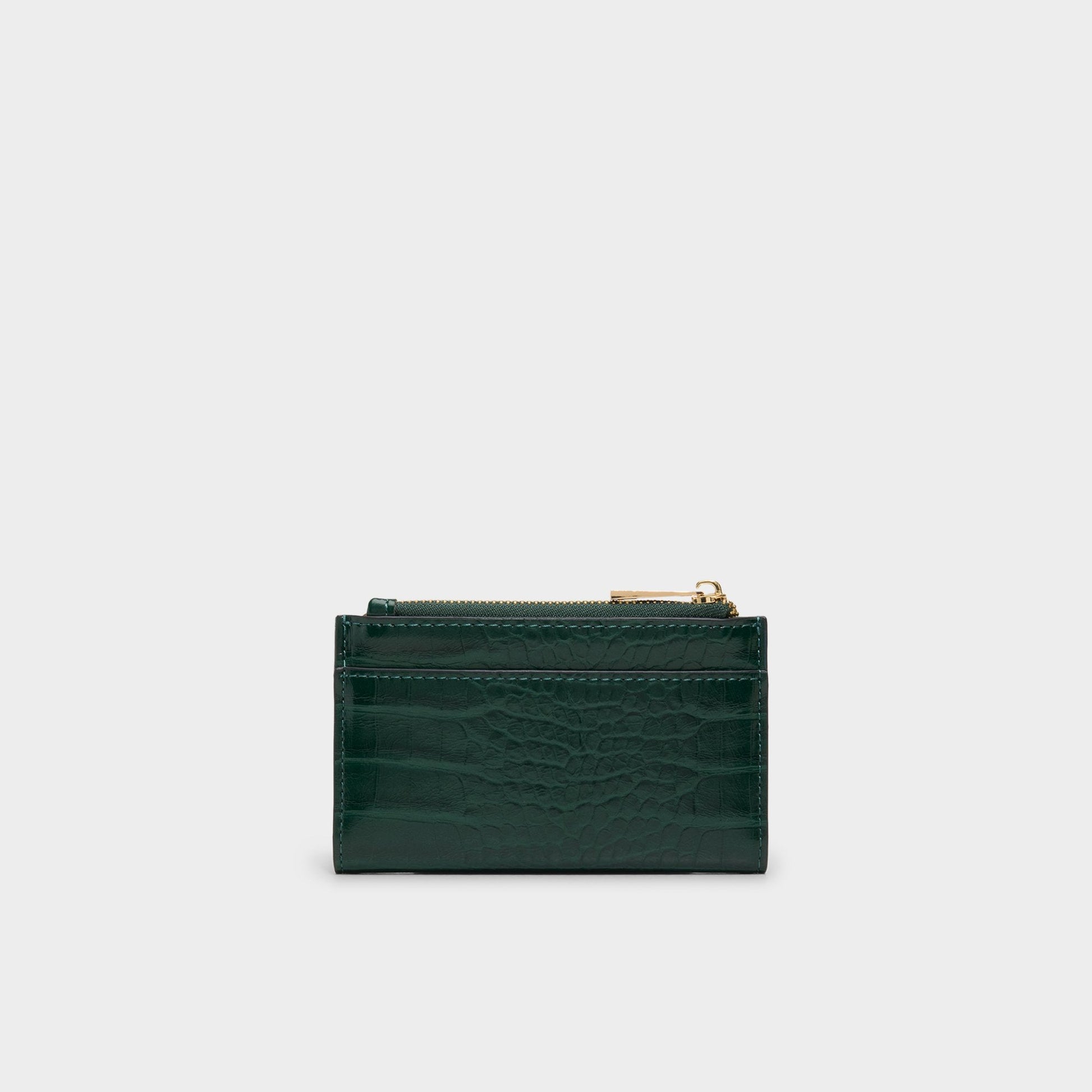Mereclyaa in Green - Wallet | Aldo Signature