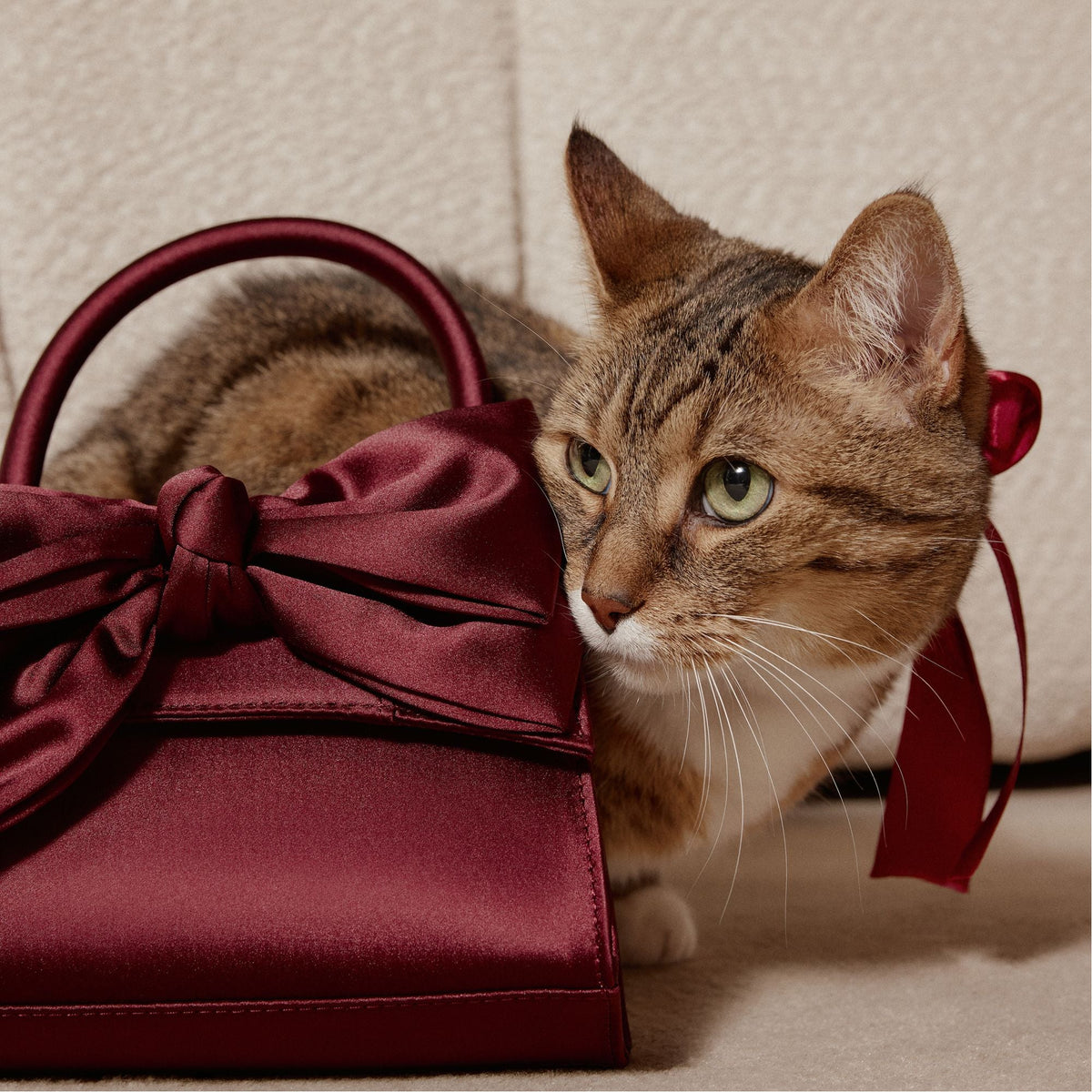 Decadencee in Dark Red - Top handle bag | Aldo Signature