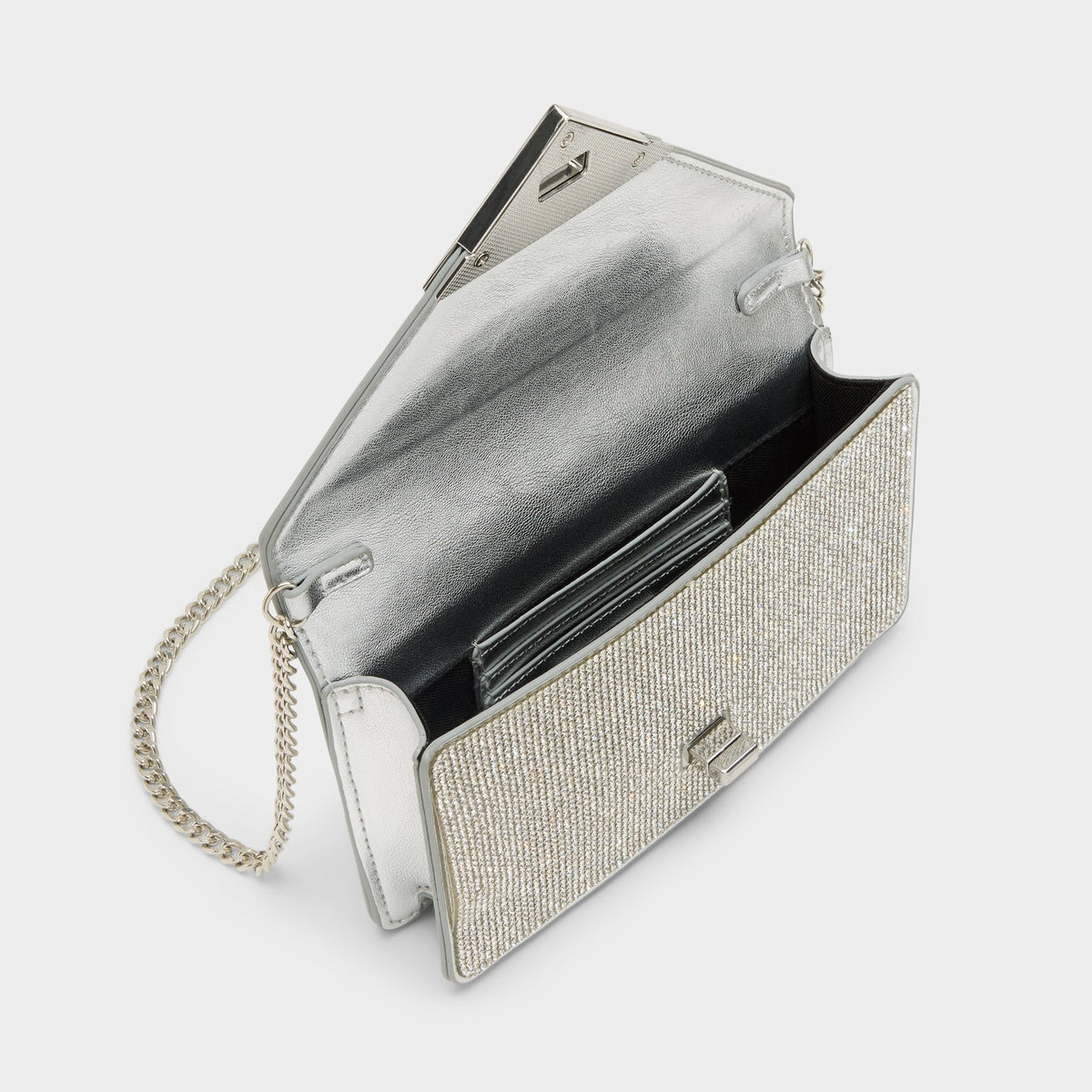 Brimortonblngg in Silver - Wallet | Aldo Exclusive
