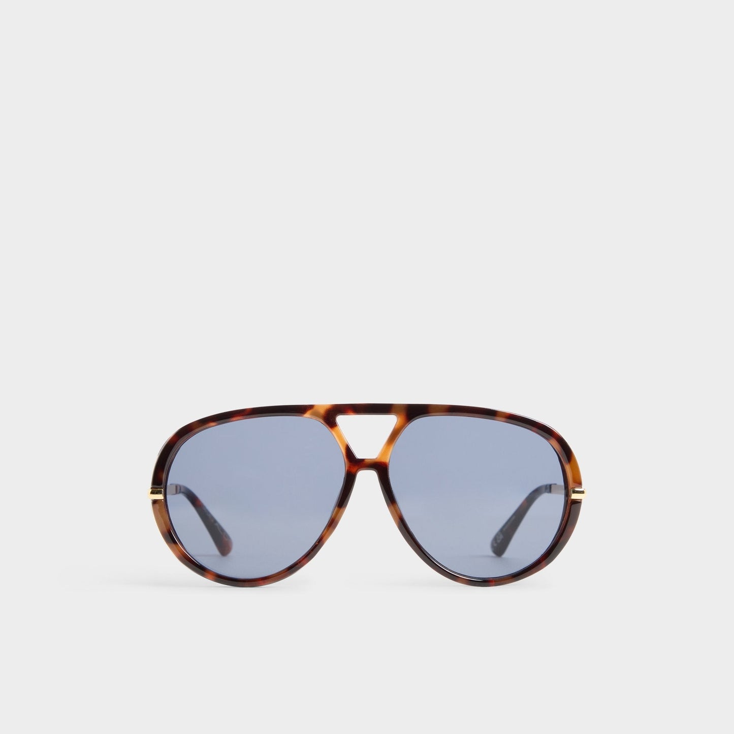 Eliiana in Other Brown - Aviator sunglasses | Aldo Essential