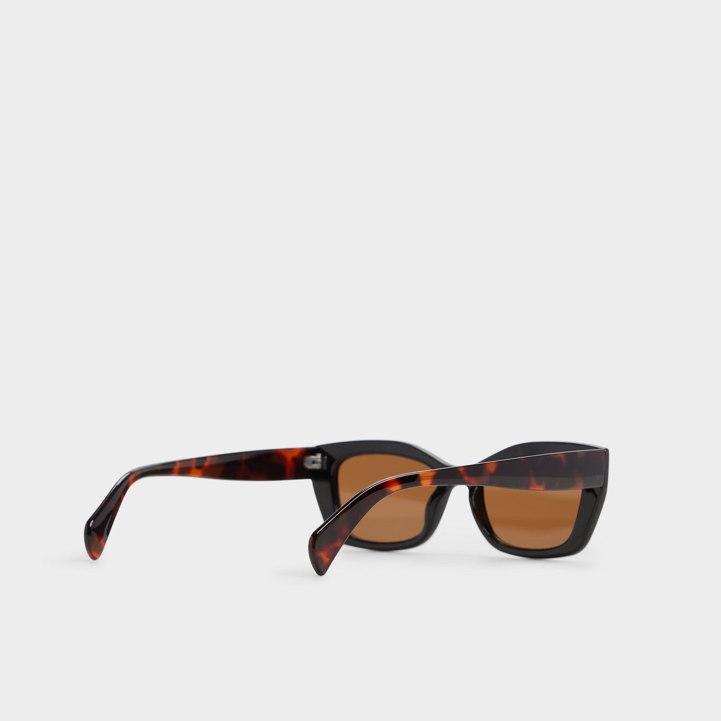 Calaberynx Black Women's Cat eye - Cat eye sunglasses | Aldo Exclusive