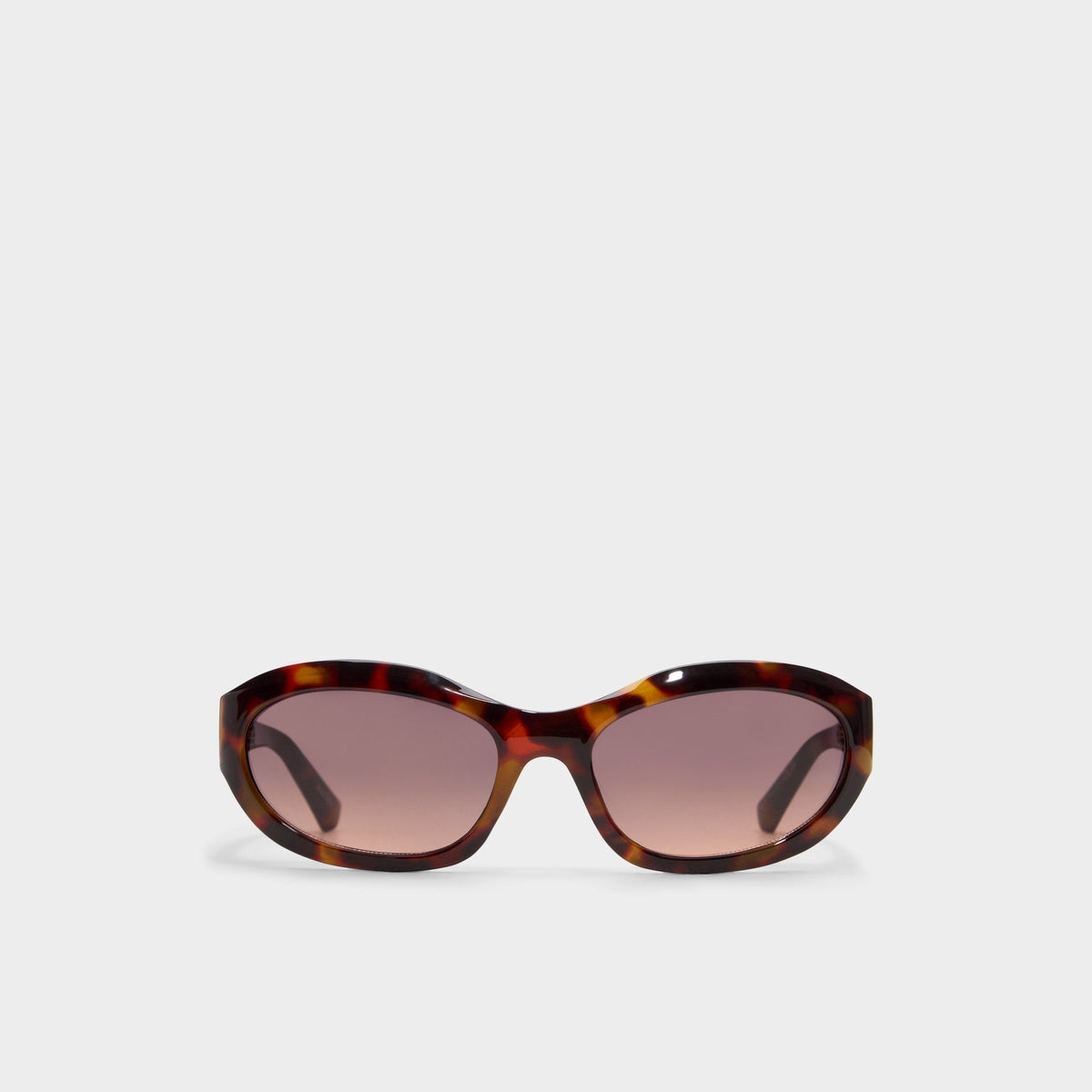 Edien Other Brown Women's Sunglasses - Sunglasses | Aldo Exclusive