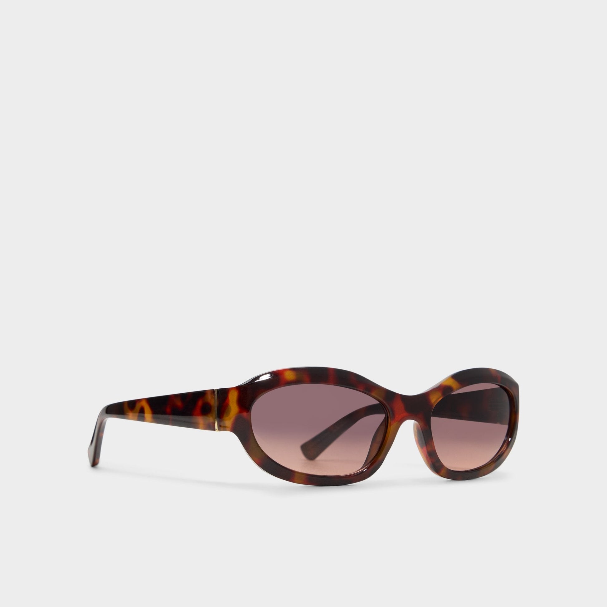 Edien Other Brown Women's Sunglasses - Sunglasses | Aldo Exclusive
