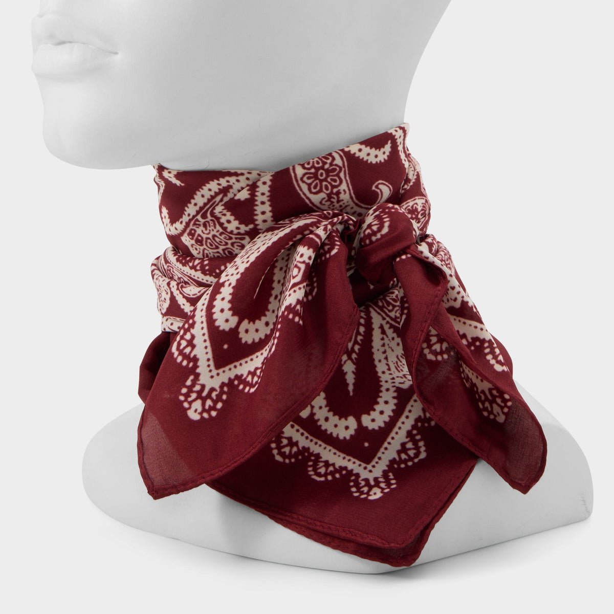 Bernadete Bordo Women's Scarves - Scarf | Aldo Essential