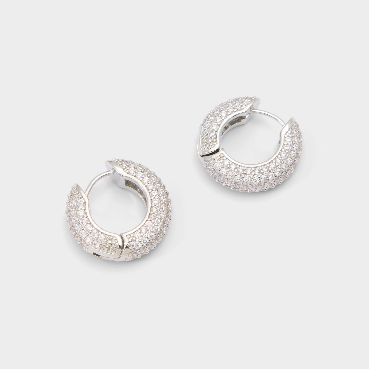 Strigidae in Silver Clear Multi - Hoop earrings | Aldo Essential
