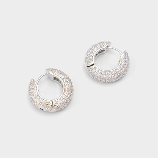 Strigidae in Silver Clear Multi - Hoop earrings | Aldo Essential