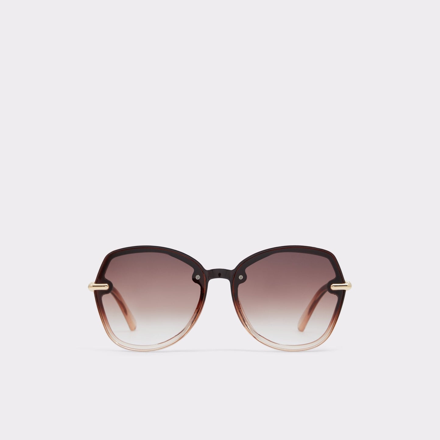 Cortegaca Brown Women's Round - Square sunglasses | Aldo Exclusive
