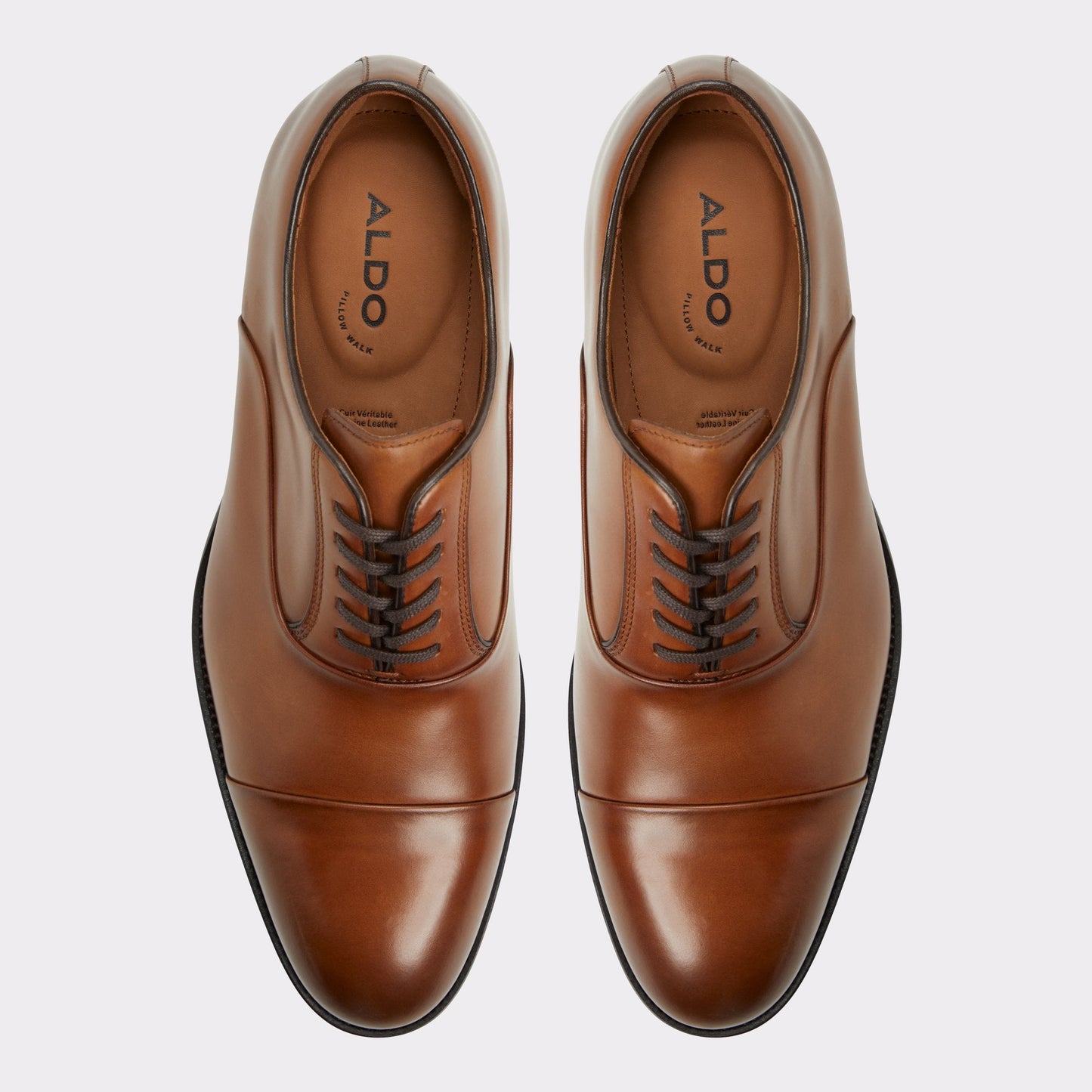 Lazio in Cognac - Oxford shoe | Aldo Trending