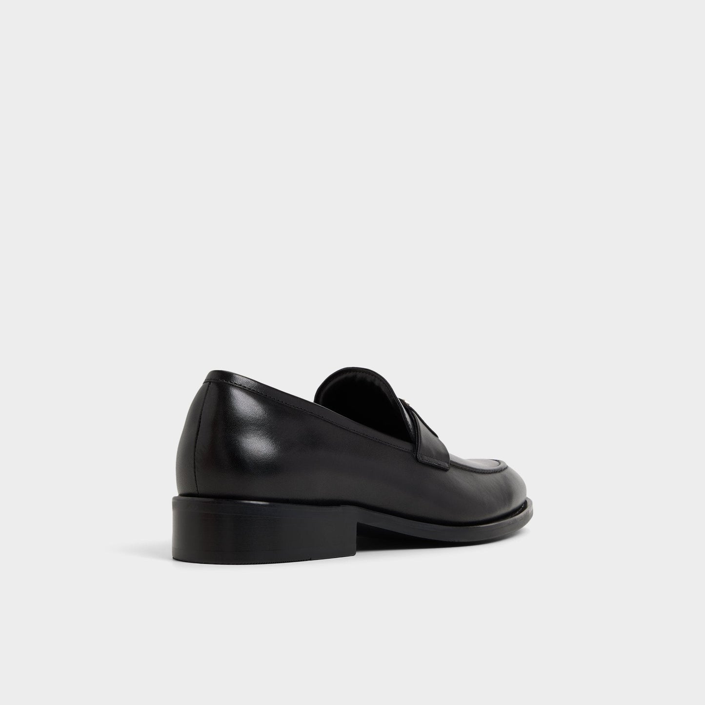 Beck in Other Black - Loafer | Aldo Exclusive