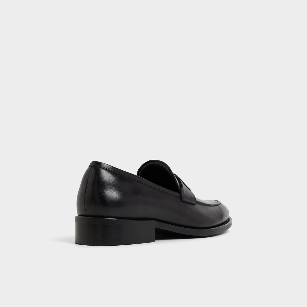 Beck in Other Black - Loafer | Aldo Exclusive