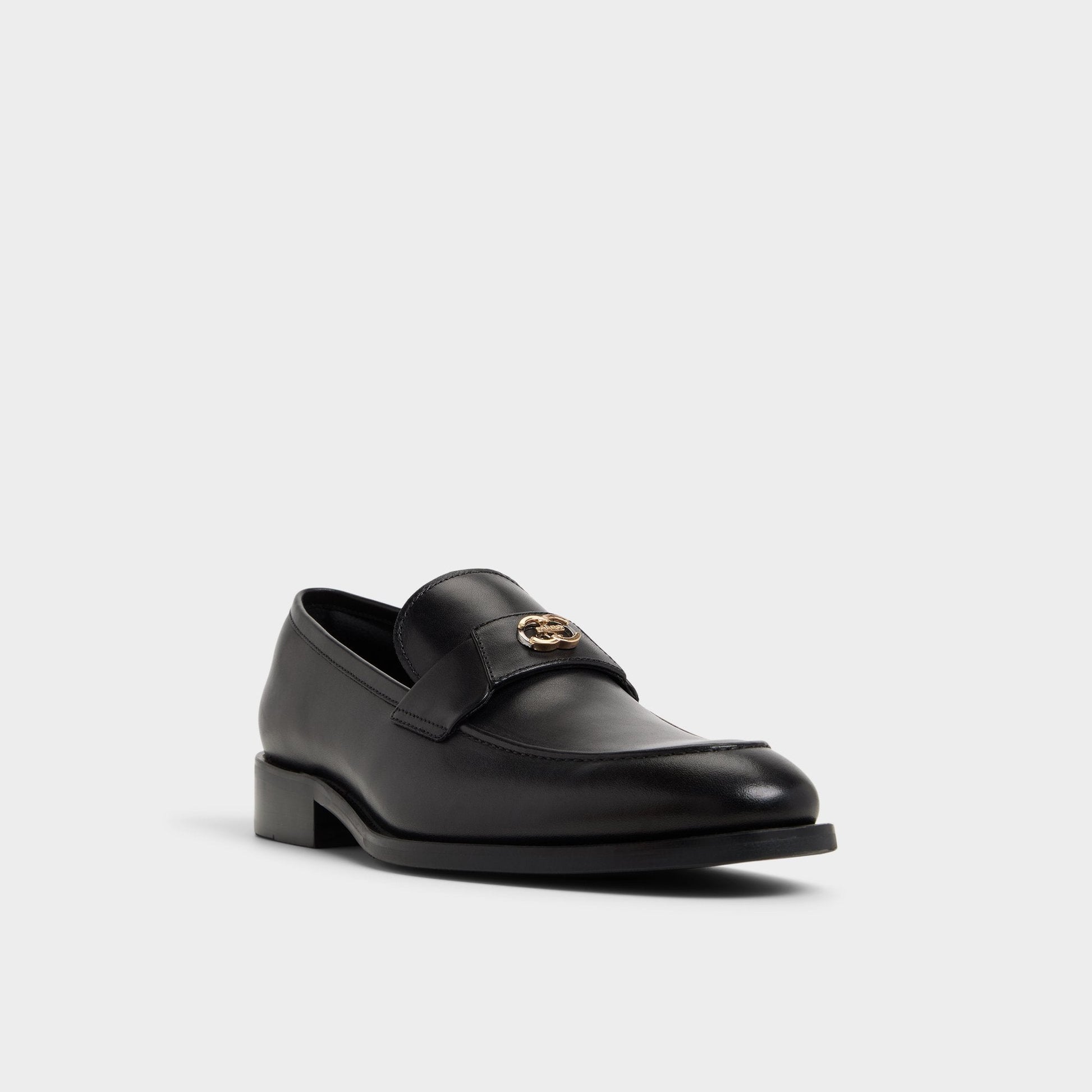 Beck in Other Black - Loafer | Aldo Exclusive