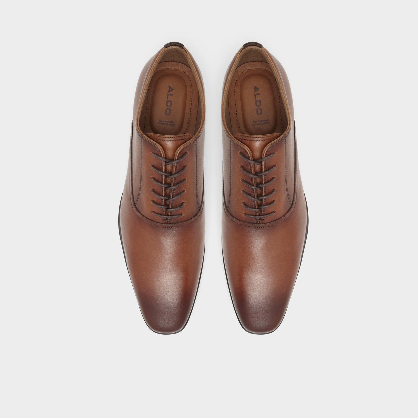 Nathon in Cognac - Oxford shoe | Aldo Best Seller