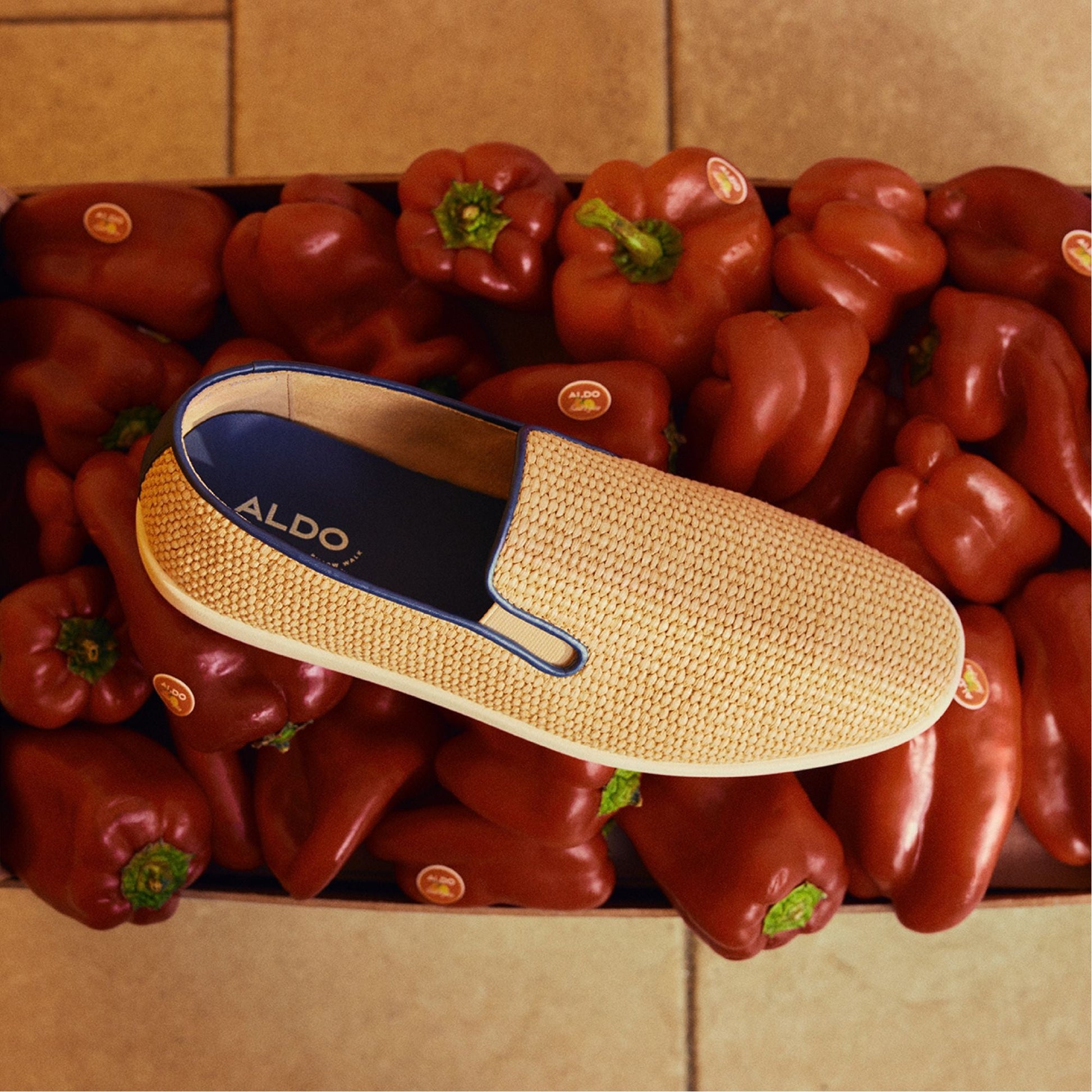 Seawind Natural Men's Casual Shoes - Loafer | Aldo Best Seller