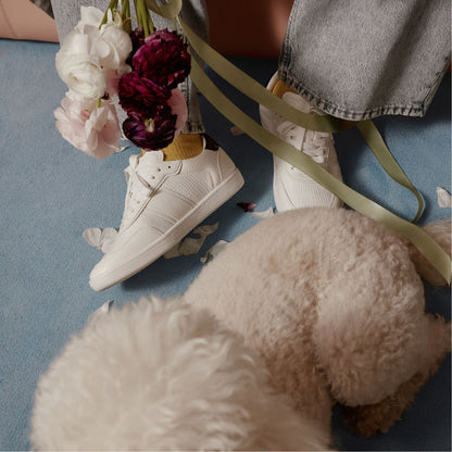 Uptownn in White Combo - Low top sneaker | Aldo Premium