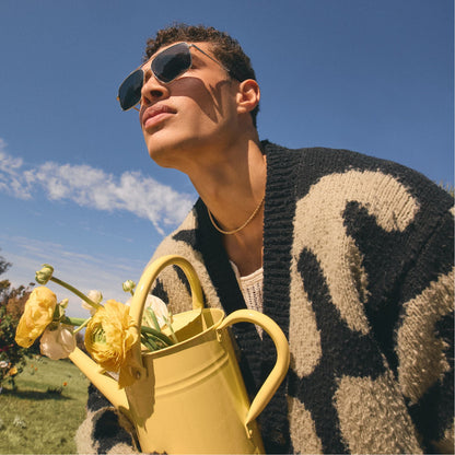 Frelinnorx Silver Men's Aviator - Sunglasses | Aldo Classic