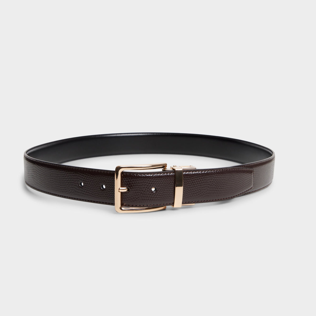 Nicholas in Dark Brown - Belt | Aldo Signature