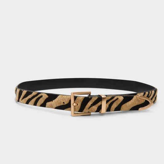 Ellecinch in Other Brown - Belt | Aldo Trending